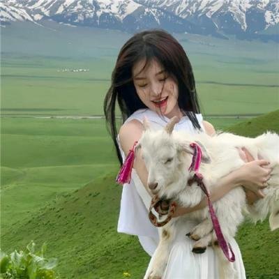 无业楼民粤语